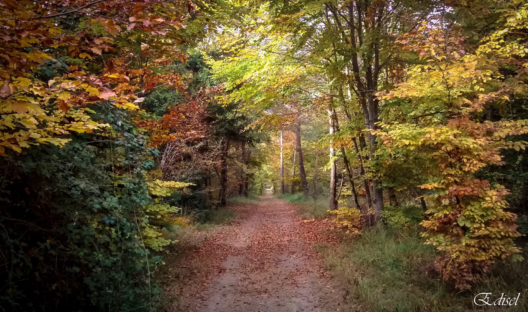 Les saisons
